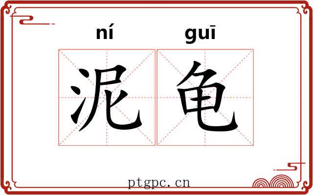 泥龟