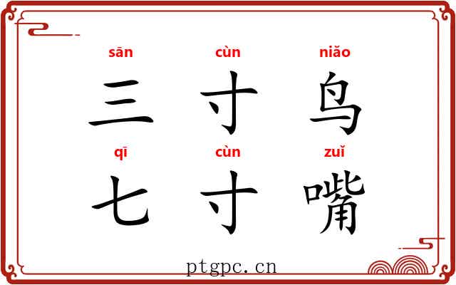 三寸鸟,七寸嘴 三寸鸟,七寸嘴
