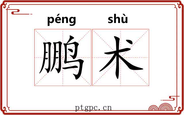 鹏术