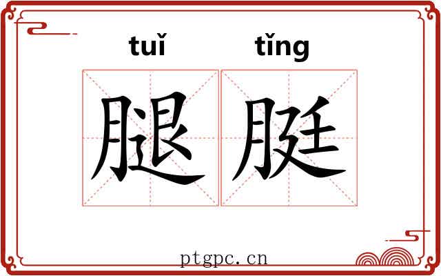 腿脡