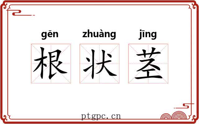 根状茎