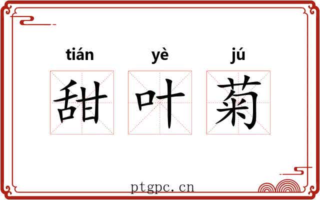 甜叶菊