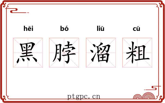 黑脖溜粗