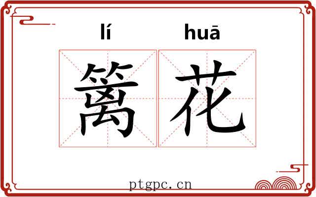 篱花
