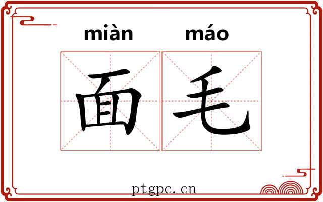 面毛 面毛