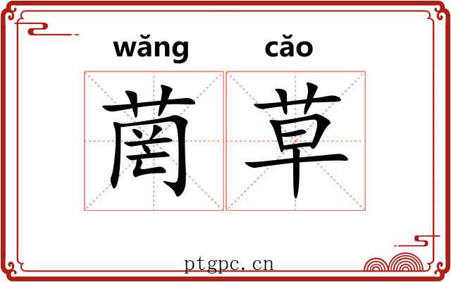 菵草 菵草
