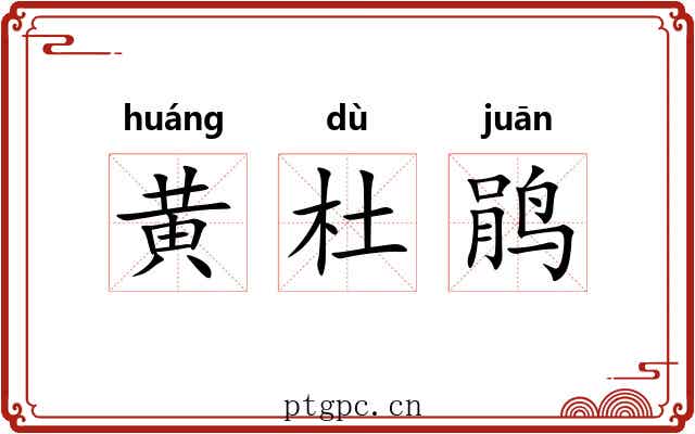 黄杜鹃