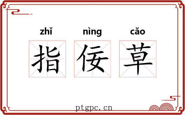 指佞草 指佞草