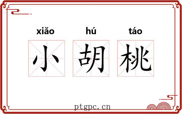 小胡桃 小胡桃
