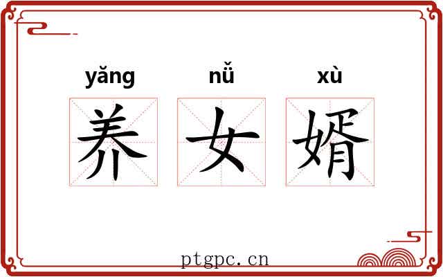 养女婿