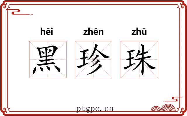黑珍珠