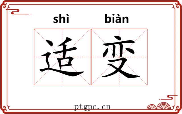 适变