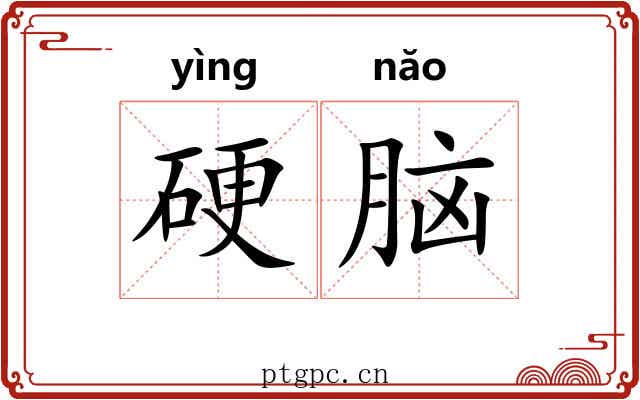 硬脑