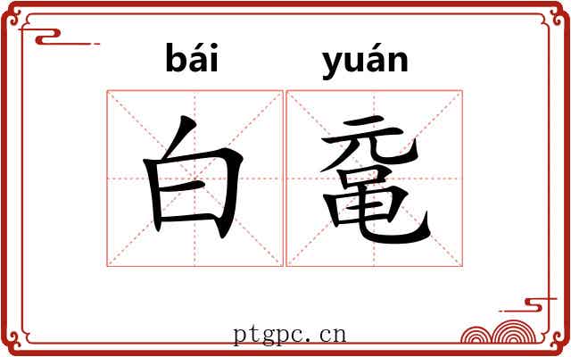 白鼋 白鼋