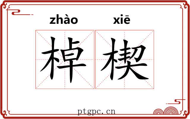 棹楔