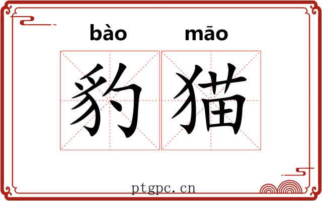 豹猫