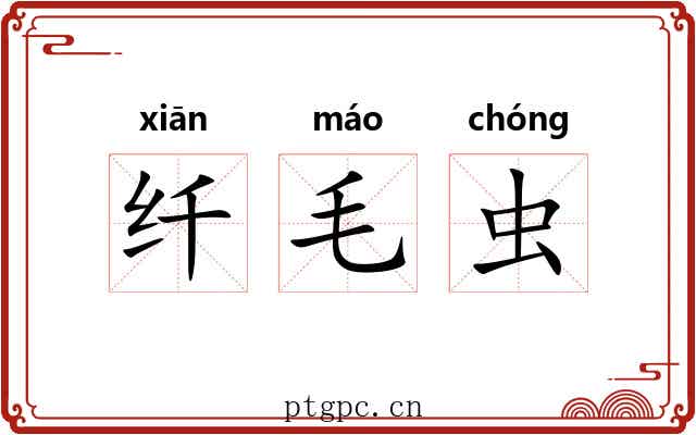 纤毛虫