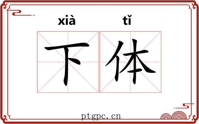 下体 下体