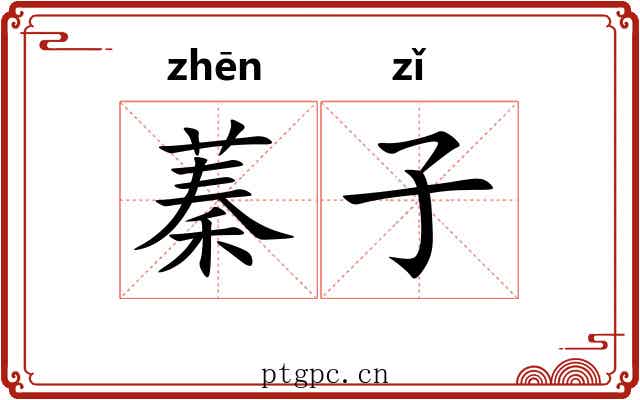 蓁子