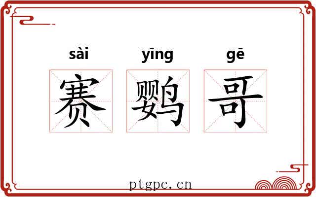 赛鹦哥 赛鹦哥