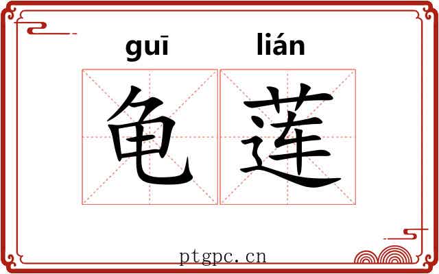 龟莲