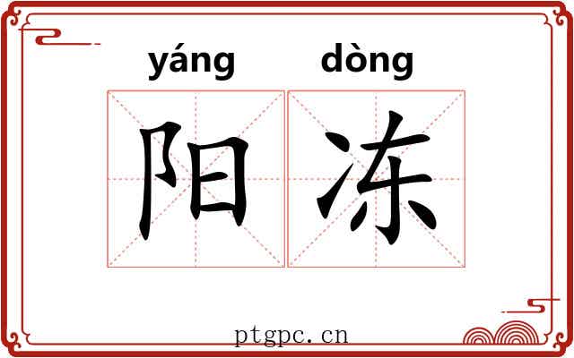 阳冻