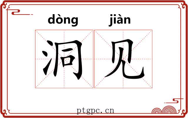 洞见