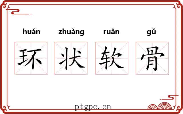 环状软骨