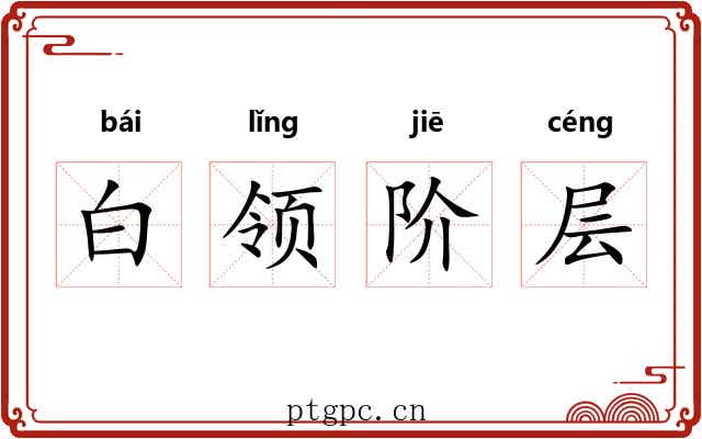 白领阶层