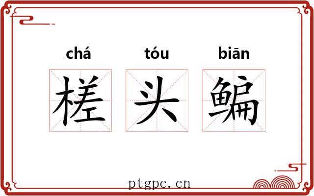 槎头鳊 槎头鳊