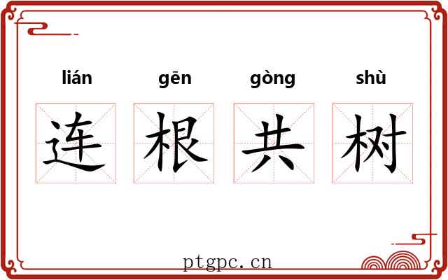 连根共树