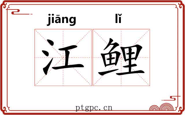 江鲤 江鲤
