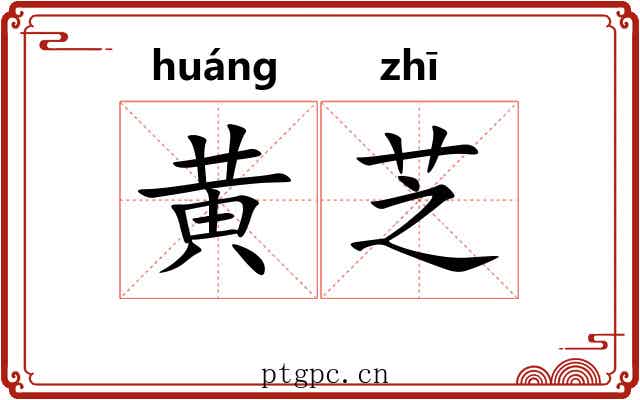 黄芝