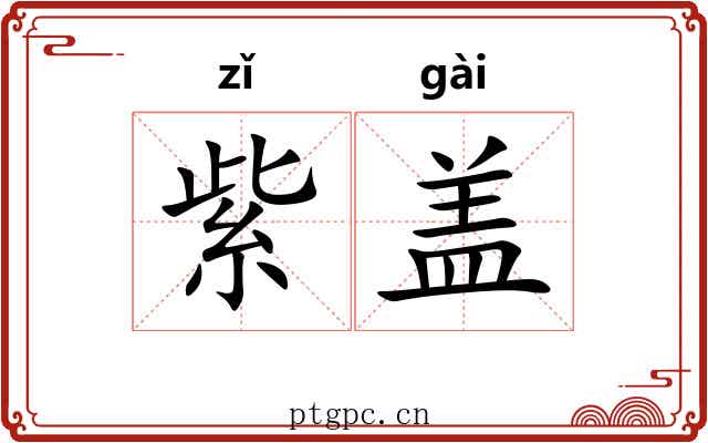 紫盖 紫盖