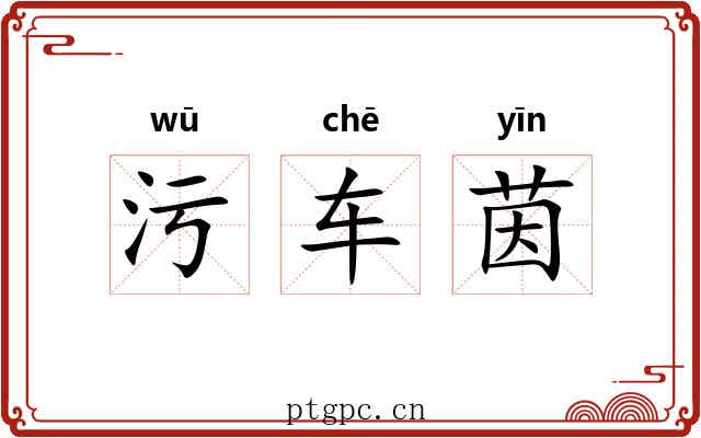 污车茵 污车茵