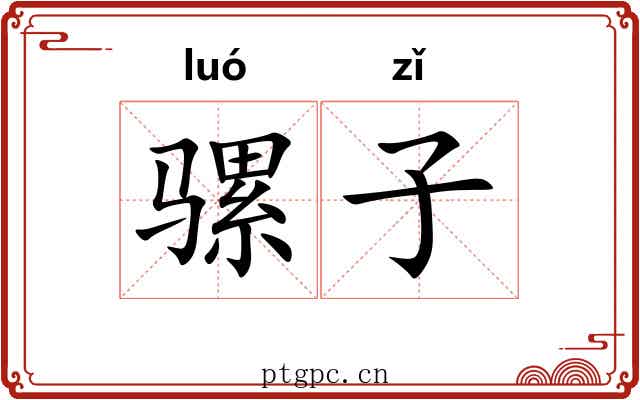 骡子