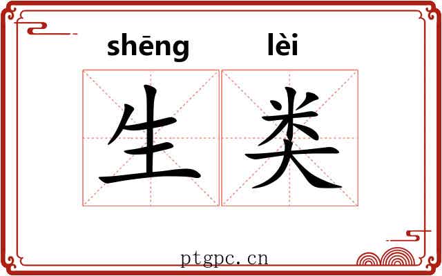 生类 生类