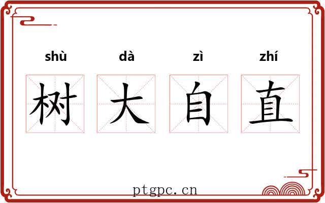 树大自直