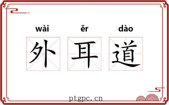 外耳道