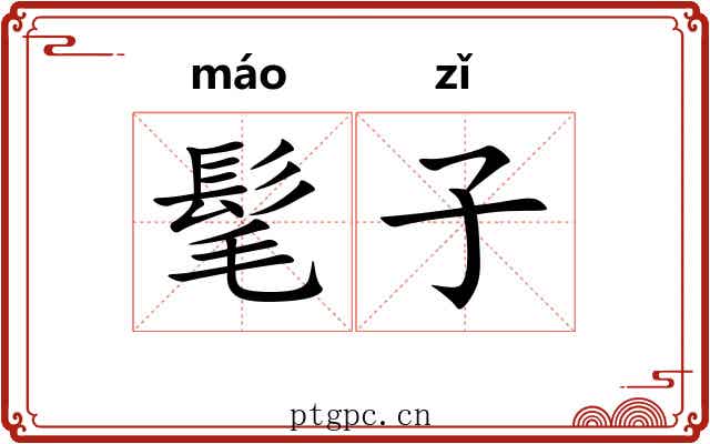 髦子