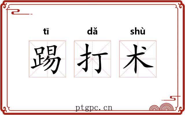 踢打术 踢打术
