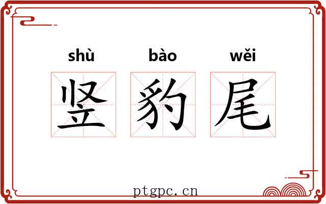 竖豹尾