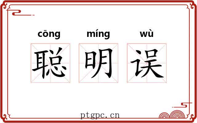 聪明误 聪明误