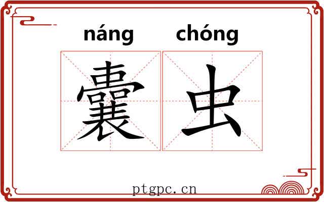 囊虫