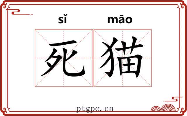 死猫
