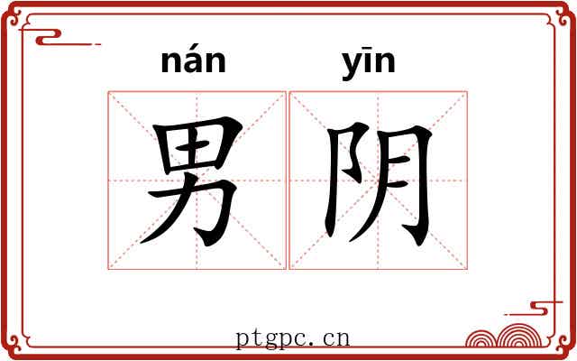 男阴