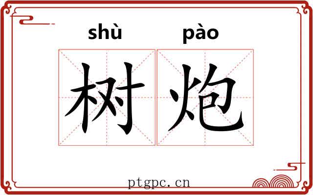 树炮