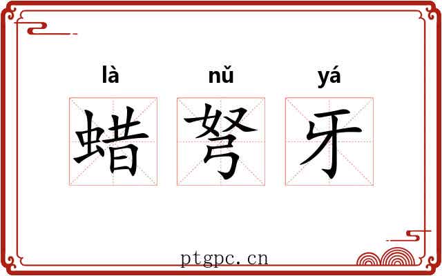 蜡弩牙 蜡弩牙