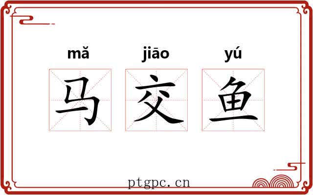 马交鱼