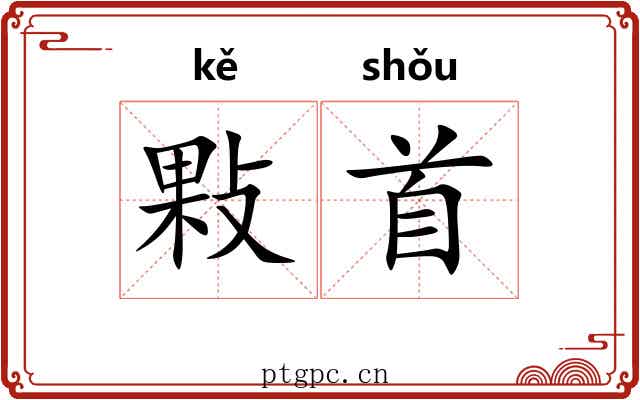 敤首